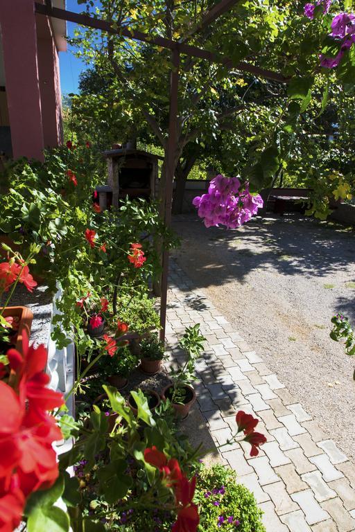 Apartments Zile Starigrad Exterior photo